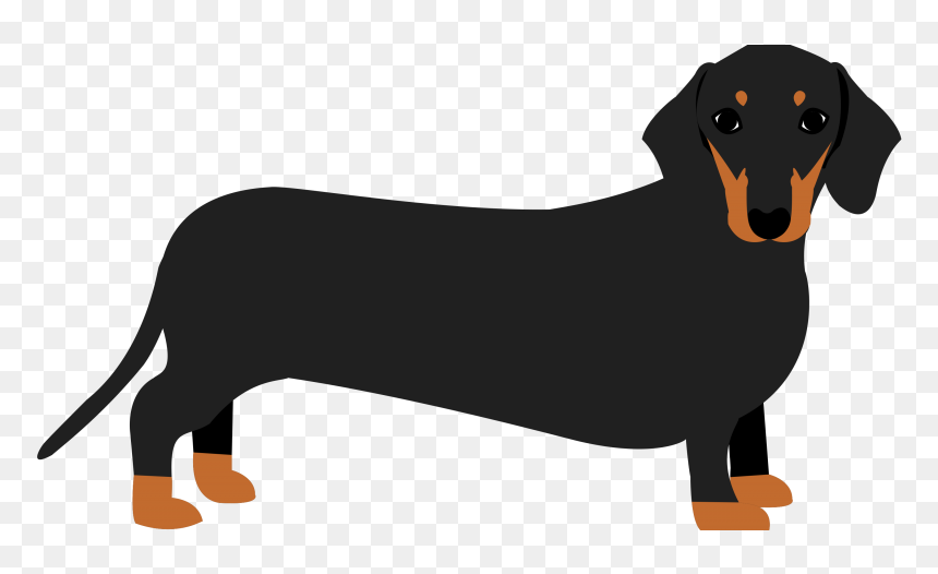 Minnie Winnie Britain S - Clip Art Dachshund Png, Transparent Png - dachshund png