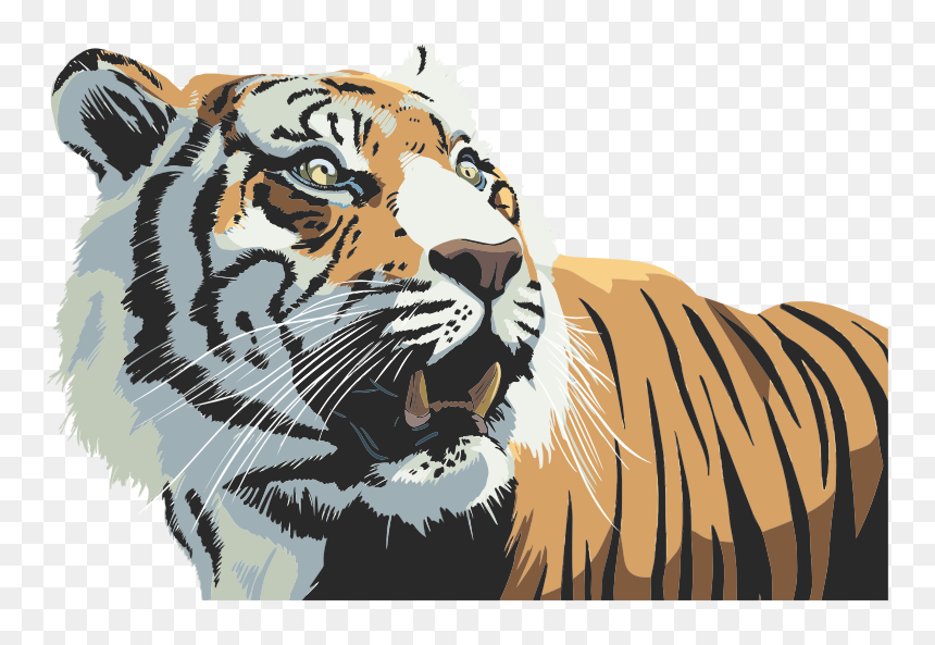 Tiger Head Illustration - Tiger Illustration Png, Transparent Png - tiger head png