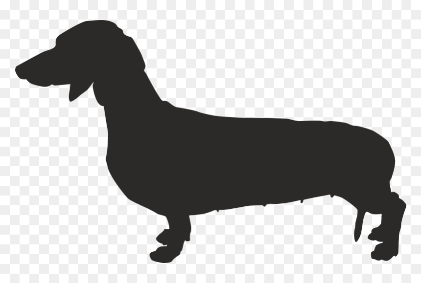 Dachshund French Bulldog Chihuahua Puppy - Dog Silhouette Dachshund, HD Png Download - dachshund png