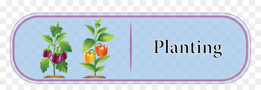 Planting Button Jpg, HD Png Download - flower plants png