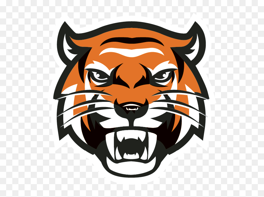 Tiger Head Transparent - Yamhill Carlton High School Mascot, HD Png Download - tiger head png