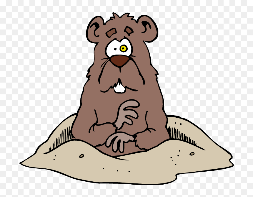 Transparent Walrus Clipart - Wood Chucker, HD Png Download - groundhog png