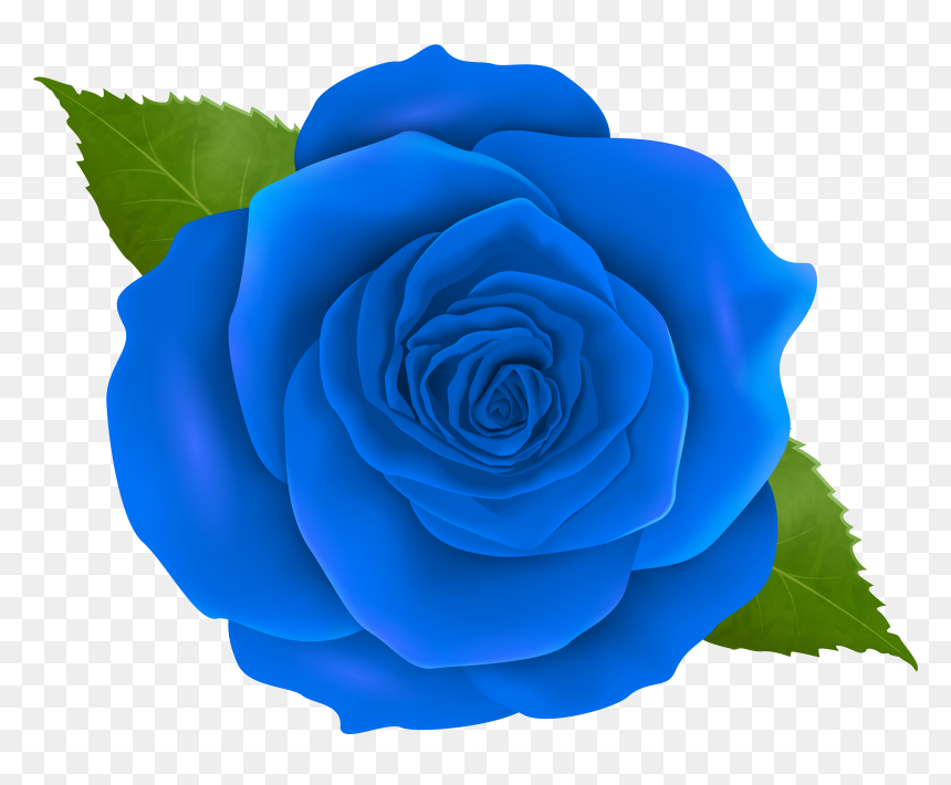 Png Blue Rose, Transparent Png - rose vector png