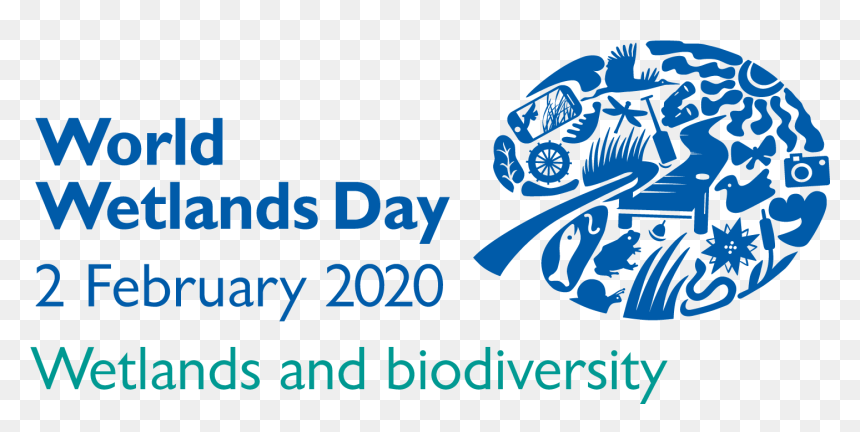 World Wetlands Day 2020, HD Png Download - horizontal black line png