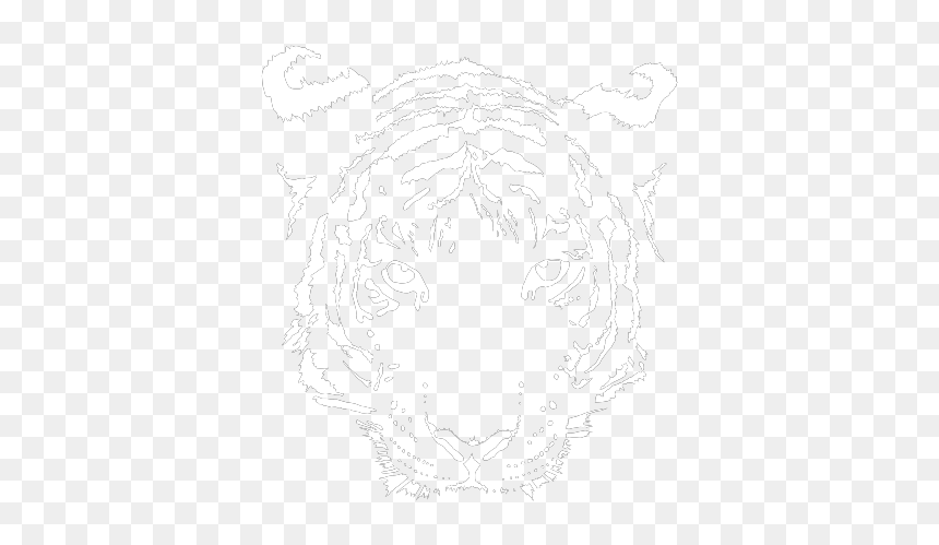 Sketch, HD Png Download - tiger head png