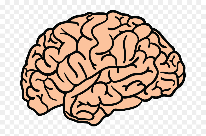 Http Www Feelingprettyremarkable Com - Brain Png, Transparent Png - brain.png