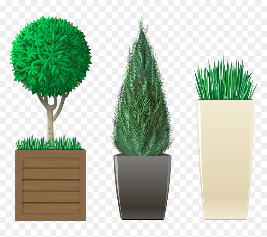 Transparent Plants Png - Plants, Png Download - potted plants png