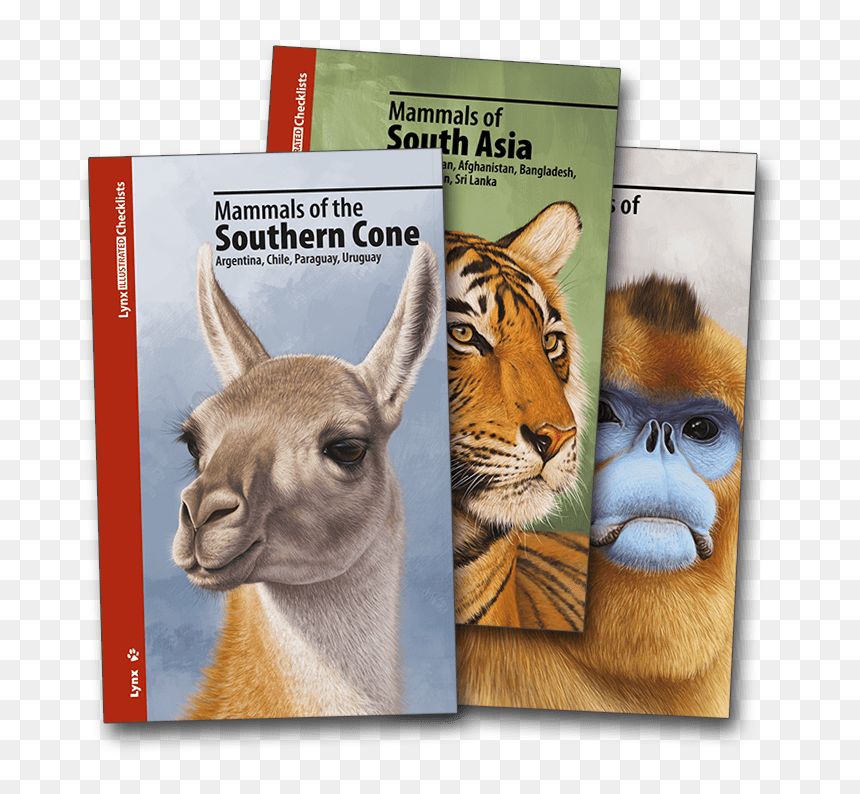 Alex Mascarell Llosa Lemur, HD Png Download - lynx png
