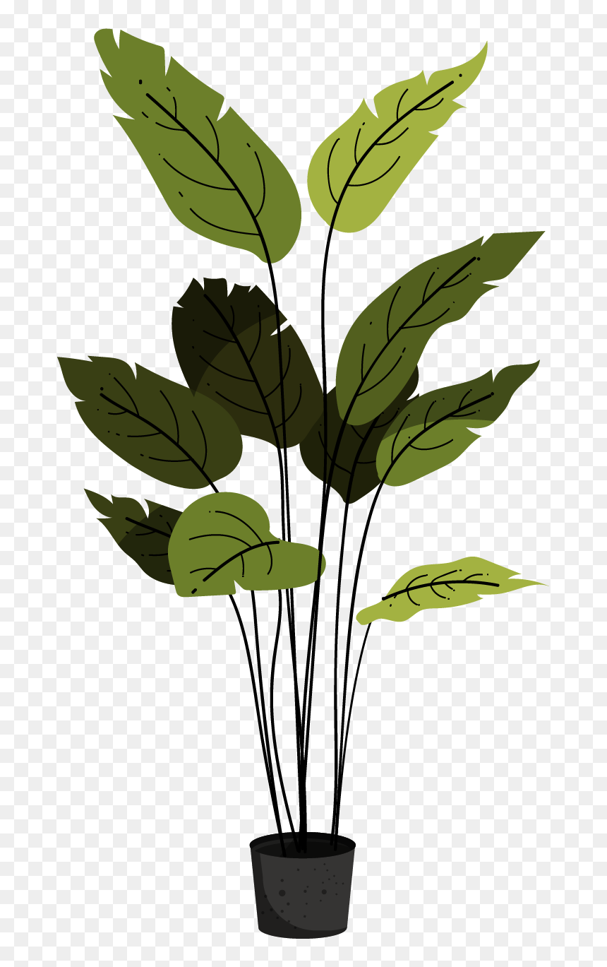 Eco Plants Png, Transparent Png - potted plants png