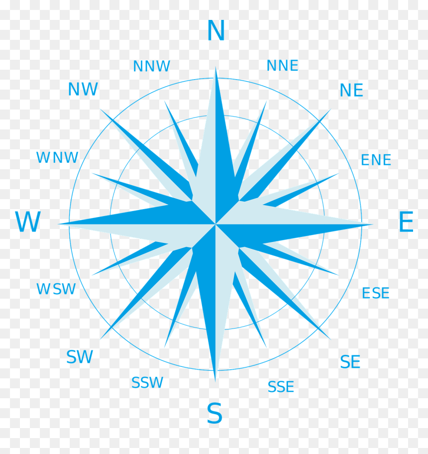 Rosa Dos Ventos English, HD Png Download - rose vector png