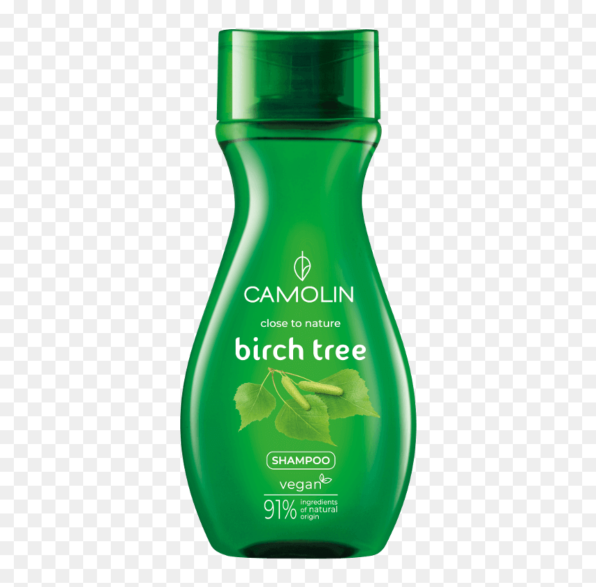 Shower Gel, HD Png Download - birch tree png