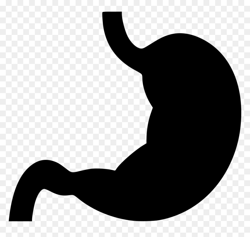 Stomach, HD Png Download - stomach png