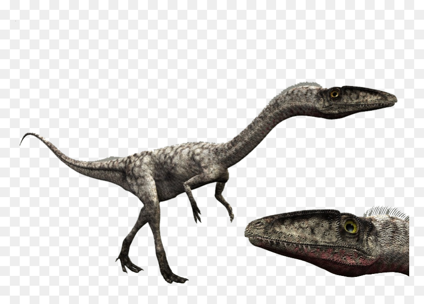 6734863 Orig - Dinosaur Revolution Coelophysis, HD Png Download - dinosaurs png