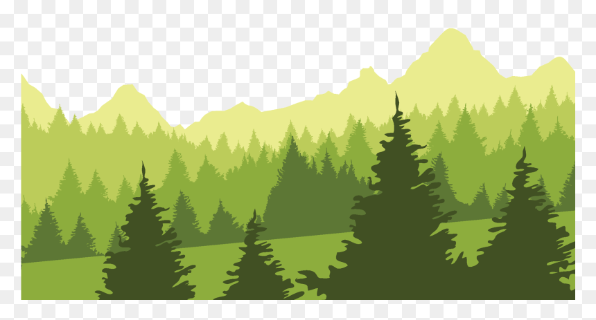 Forest Background Pictures Png - Basílica De Nuestra Señora Del Pilar, Transparent Png - forest background png