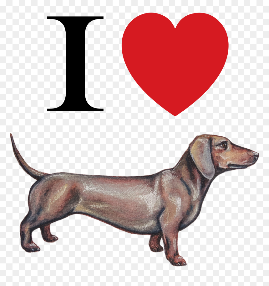 Pacific Islands Club Guam, HD Png Download - dachshund png