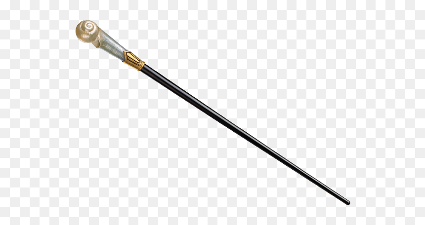 Canna Fissa 5 Metri Carbonio Daiwa, HD Png Download - harry potter wand png