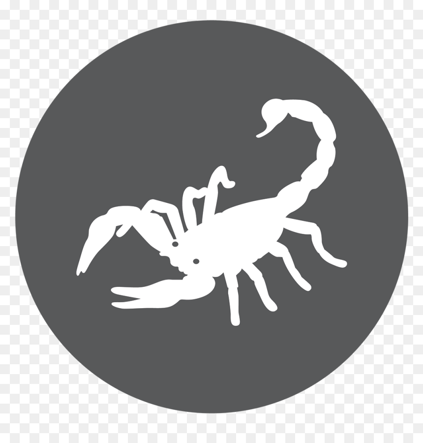 The Scorpion Brave And - Numeros Da Sorte Para Escorpião, HD Png Download - scorpio png