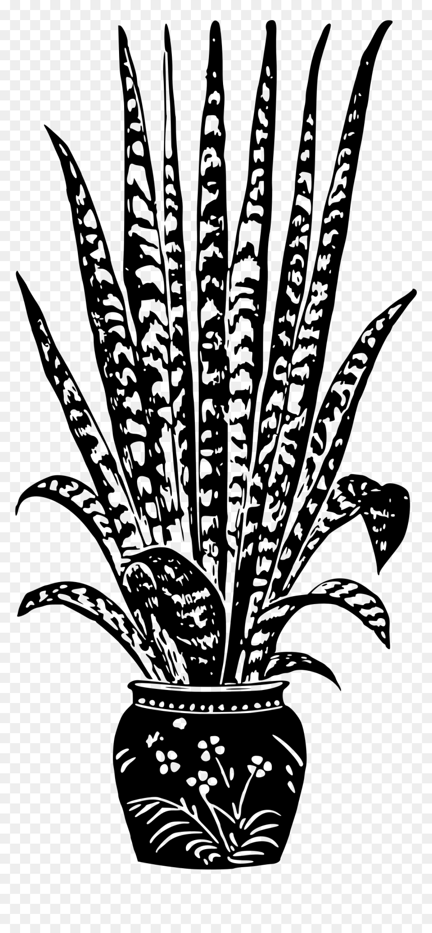 Potted Plant 7 Clip Arts - Houseplant Black And White, HD Png Download - potted plants png