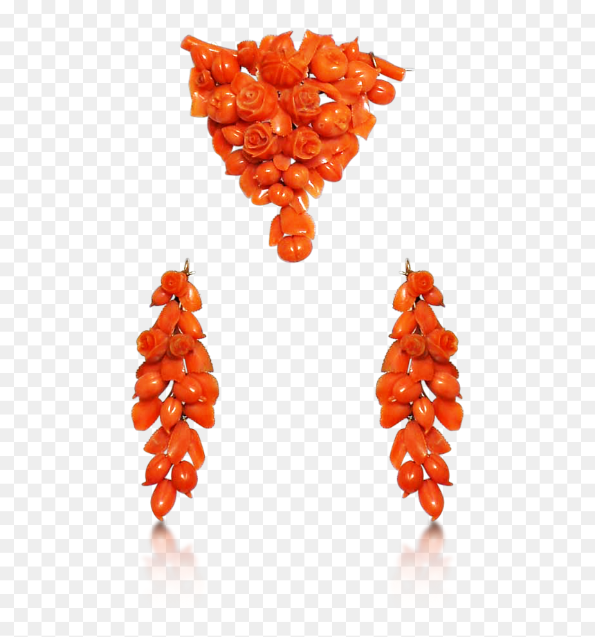Image - Seedless Fruit, HD Png Download - rose vine png