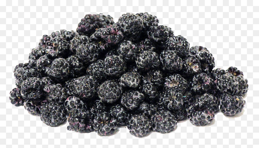 Black Raspberries Png Transparent Image - Kirmizi Ginsengli Dut Özü, Png Download - raspberries png