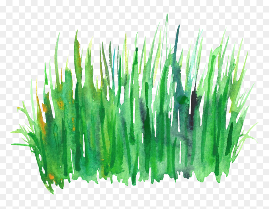 Green Grass Cluster Transparent Decorative - Watercolor Grass, HD Png Download - green grass png