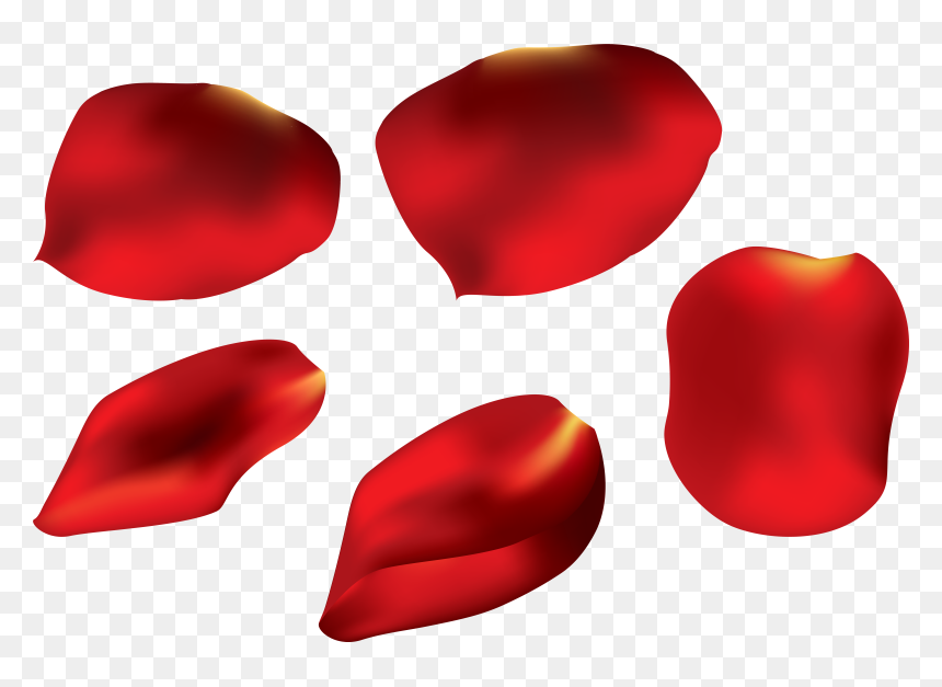 Rose Clipart Transparent Background, HD Png Download - sakura petals png