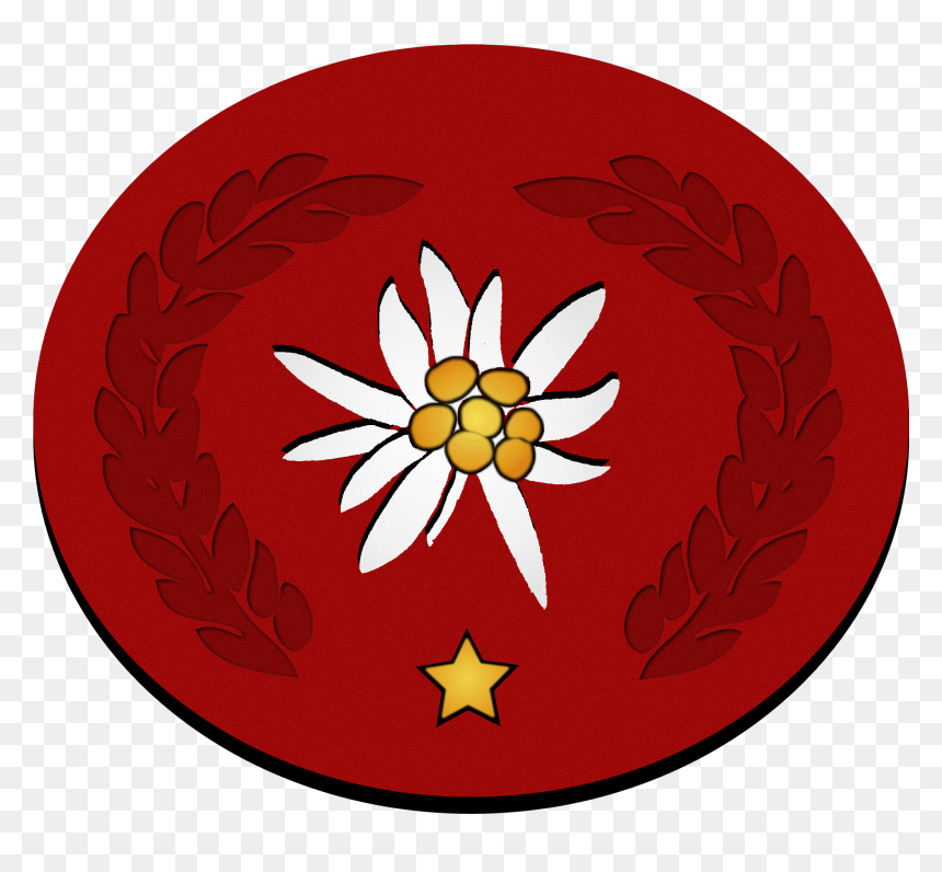 Edelweiss-auszeichnung 1 Stern - Edelweiss Pirates Symbol, HD Png Download - pirates logo png