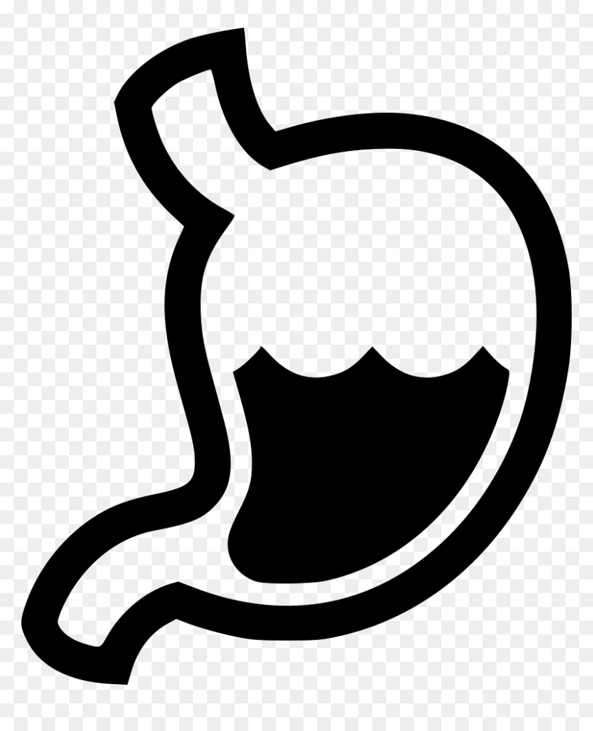 Stomach Digestion Gastritis Organ Gastroenterologist - Digestion Icon Png, Transparent Png - stomach png