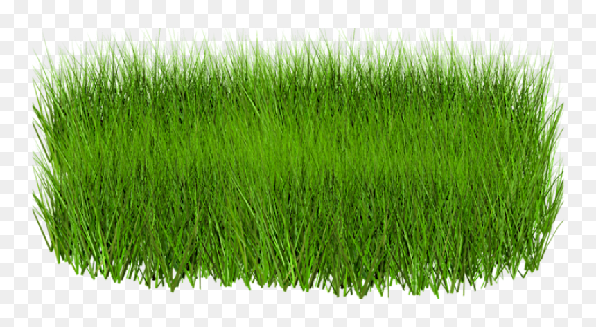 Green Grass Image Hd, HD Png Download - green grass png
