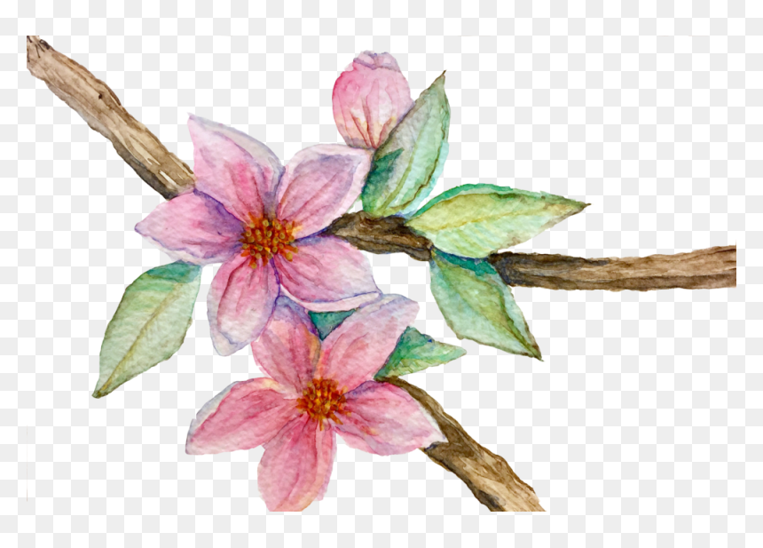 Fineart, HD Png Download - sakura petals png
