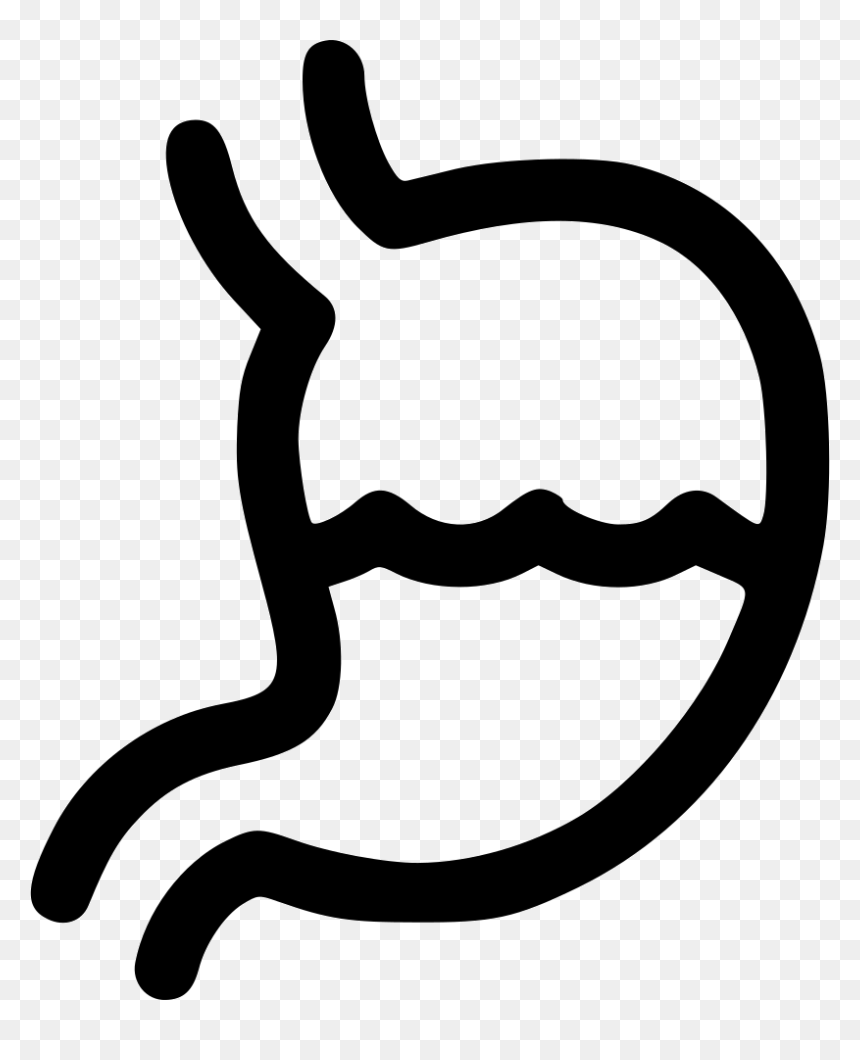 Stomach, HD Png Download - stomach png