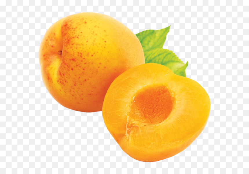 Apricot Png Without Seed - Transparent Png Apricot Png, Png Download - apricot png