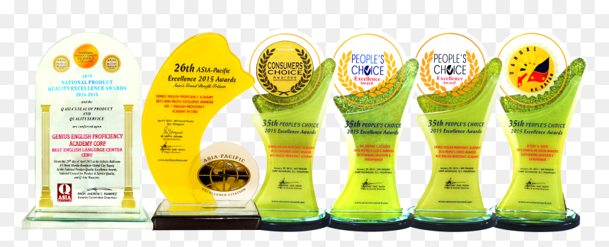 Flyer, HD Png Download - academy award png