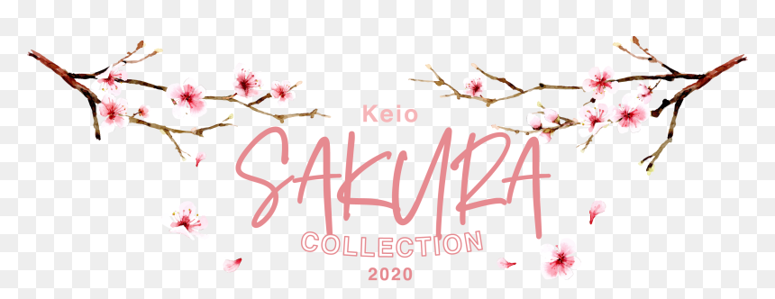 Sakura Collection｜京王百貨店 新宿店 - Calligraphy, HD Png Download - sakura petals png