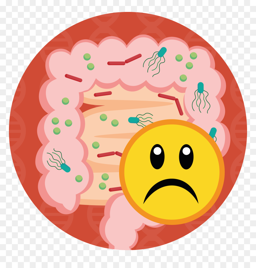 Abdomen Food Smile Clip - Abdomen, HD Png Download - stomach png