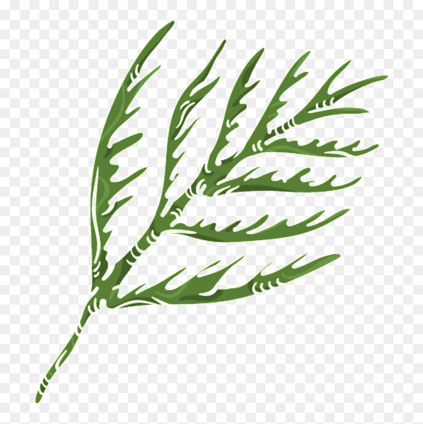 Green Coral Grass Png Transparent - Illustration, Png Download - green grass png