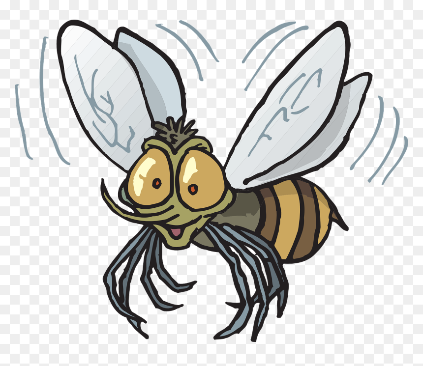Flying Fly Clipart, HD Png Download - flying bee png