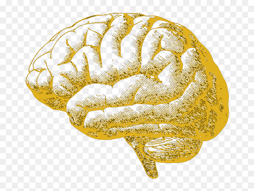 Creative Brain Png , Png Download - Effect Of Drug To The Brain Drawing, Transparent Png - brain.png