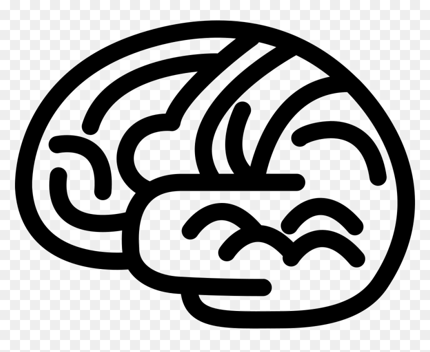 Brain Body Organ Outline - Cerebro Contorno Png, Transparent Png - body outline png