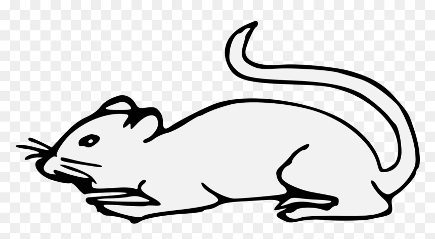 Clip Art, HD Png Download - mouse animal png