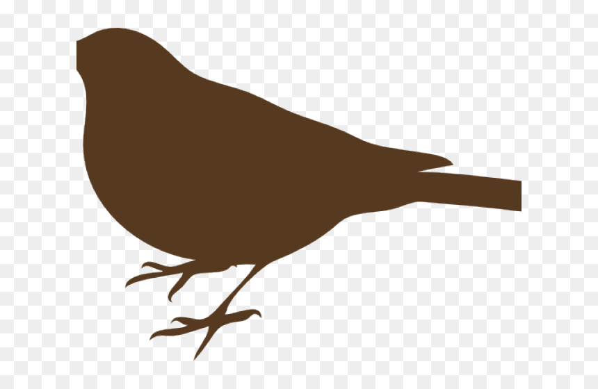 Kill A Mockingbird Clipart - Mockingbird Black And White, HD Png Download - mockingbird png