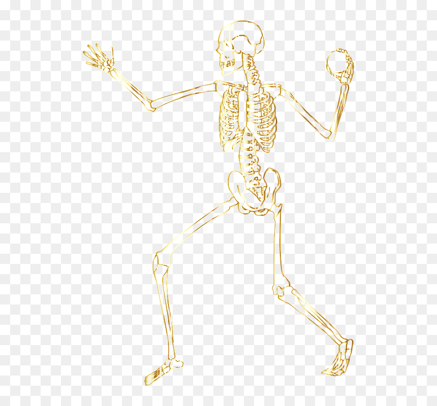 Skeleton, HD Png Download - dead person png