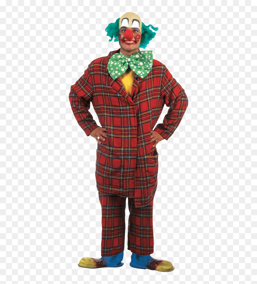 Clown, HD Png Download - wigs png