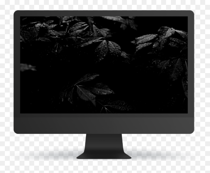 Computer Monitor, HD Png Download - forest background png