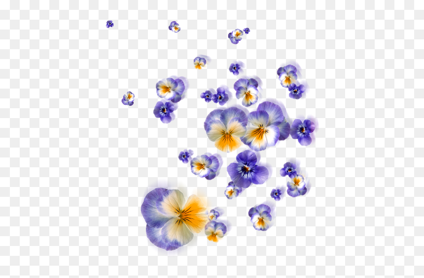 Floating Flowers Png, Transparent Png - wild flowers png