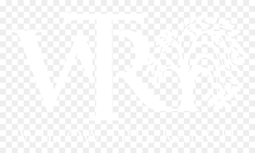 Graphic Design, HD Png Download - willow tree png