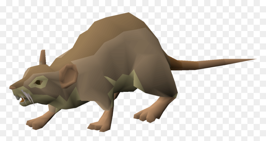 Terrestrial Animal, HD Png Download - mouse animal png