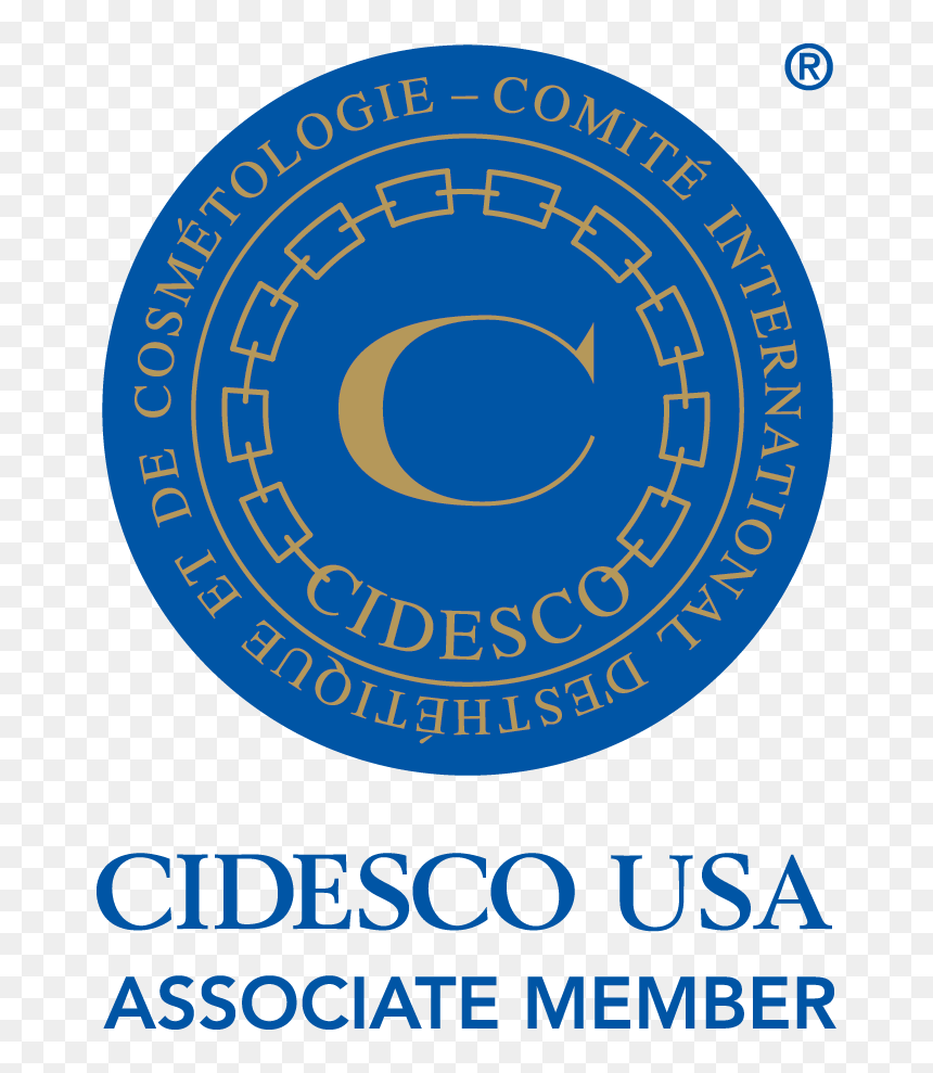 Cidesco, HD Png Download - usa outline png