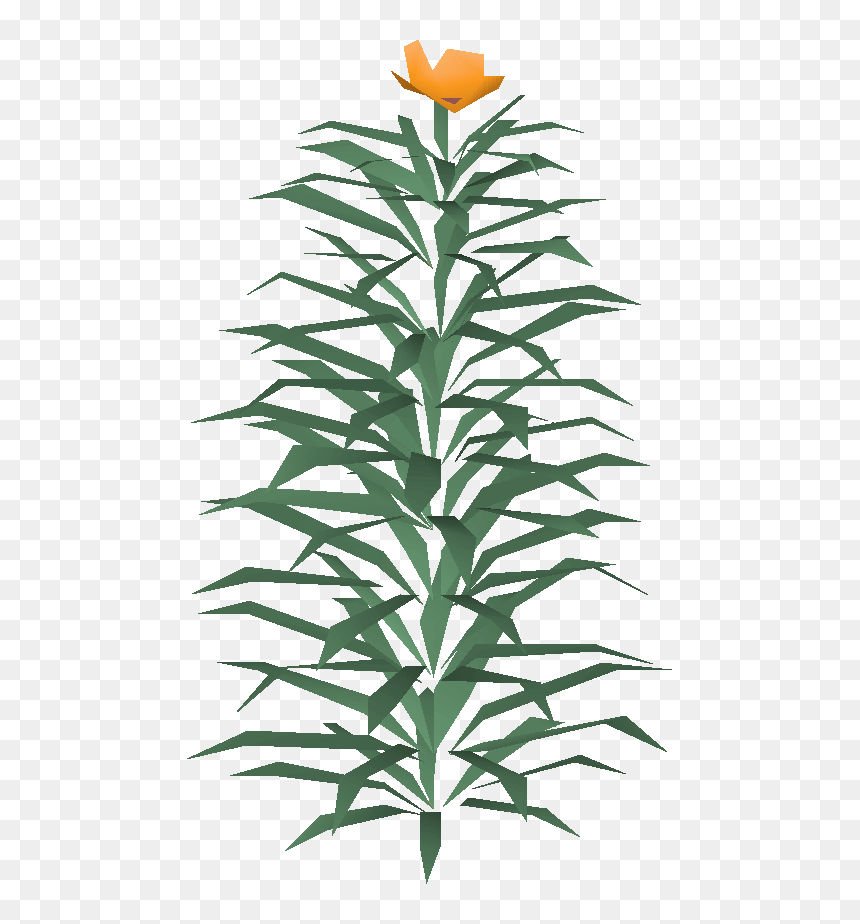 Old School Runescape Wiki - Houseplant, HD Png Download - rosemary png