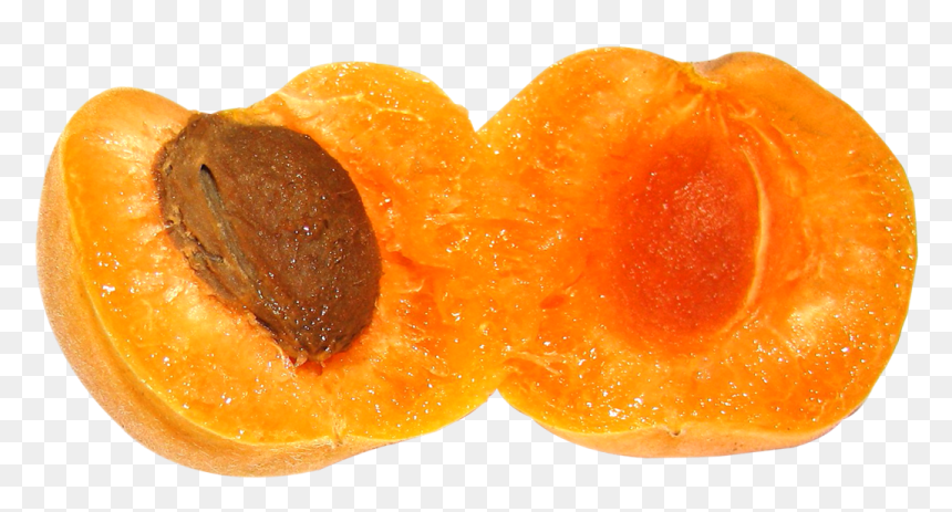 Free Png Apricot Png Images Transparent - Portable Network Graphics, Png Download - apricot png